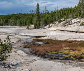 Равнинная часть в гейзеровом бассейне Норрис, прорезанная доисторическим ледником.