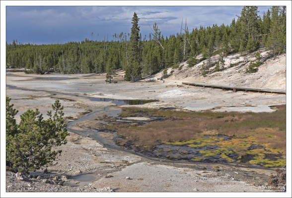 Равнинная часть в гейзеровом бассейне Норрис, прорезанная доисторическим ледником.