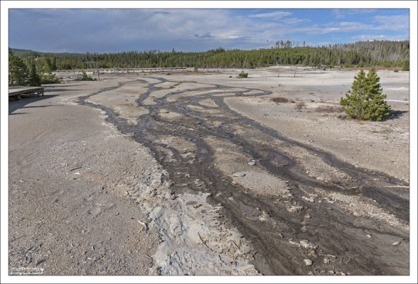 Подземная горячая вода вышла на поверхность в бассейне Норриса.