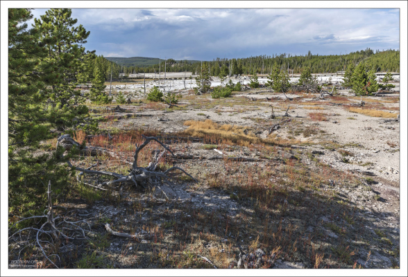 Back Basin - задняя часть геотермальной зоны Норриса.