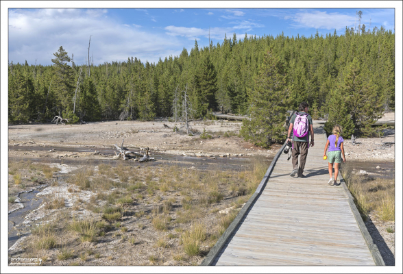 Деревянные мостки в геотермальной зоне иногда приходится перекладывать по другому маршруту из-за новых гезйеров.