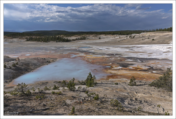 Colloidal Pool - Коллоидный бассейн.
