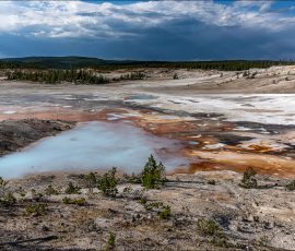 Colloidal Pool - Коллоидный бассейн.