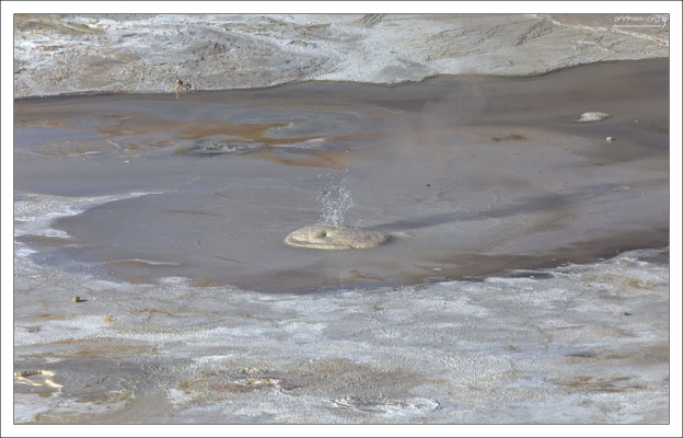 Маленький гейзерок активно извергается.