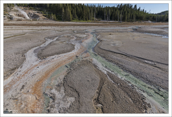 Водяные стоки от гейзера Whirligig (Вихрь), в которых живут водоросли: оранжевые Cyanidioschyzon и зеленые Zygogonium.