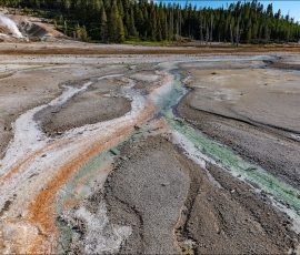 Водяные стоки от гейзера Whirligig (Вихрь), в которых живут водоросли: оранжевые Cyanidioschyzon и зеленые Zygogonium.