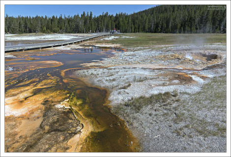 Гейзеровый холм в Йеллоустоуне.