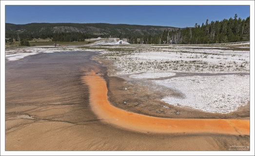Теплолюбивые бактерии-термофилы образовали забавную абстракцию.