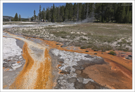 Едва покрытые водой термофильные маты на Гейзеровом холме.