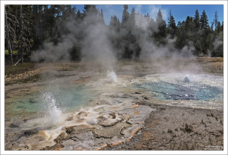 Spasmodic Geyser (Судорожный).