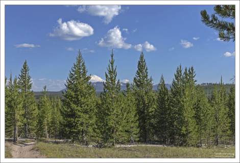 Тропа к Утиному озеру.
