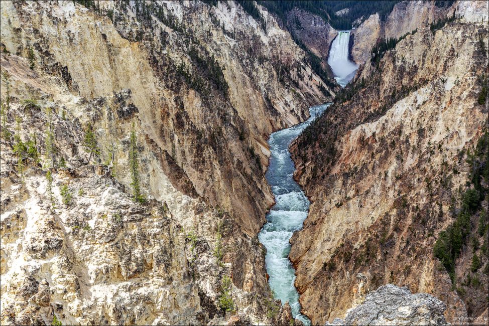 Большой каньон Йеллоустоуна (Grand Canyon of the Yellowstone).