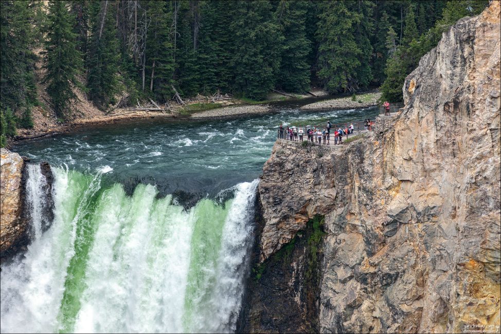 Люди на конечной точке тропы Brink of the Lower Falls (Край Нижнего водопада).