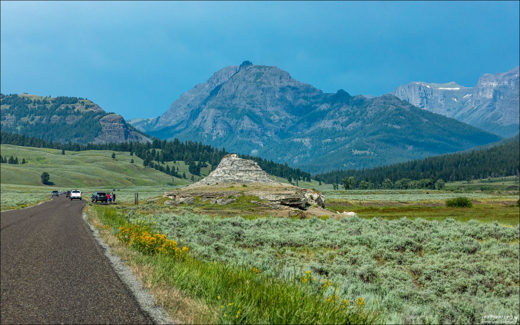 Lamar Valley (Долина Ламар) на севере Йеллоустоуна.