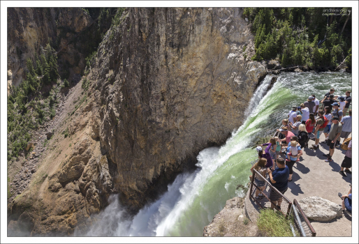 Обзорная площадка в конце тропы Brink of the Lower Falls (длина - чуть больше километра).