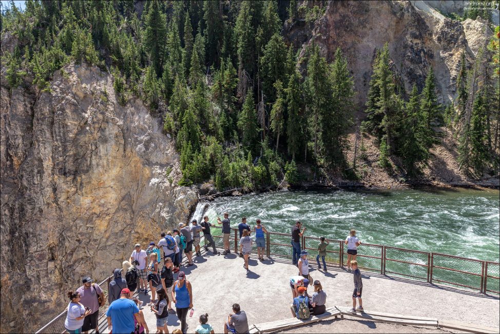 Еще не очень сильно заполненная туристами обзорная площадка Brink of the Lower Falls. Бывает намного хуже.
