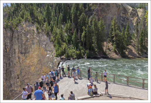 Еще не очень сильно заполненная туристами обзорная площадка Brink of the Lower Falls. Бывает намного хуже.