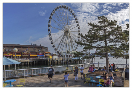 Набережная Сиэтла и бухта Эллиотт.