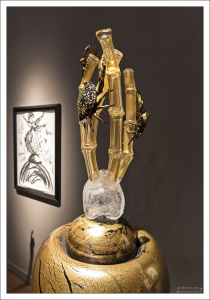 Sea life forms – Коллекция Формы морской жизни.