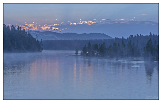 Река Yellowstone river на рассвете.