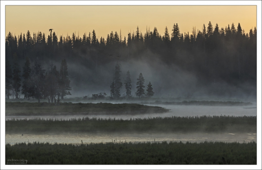 В окрестностях кемпинга Fishing Bridge campground.