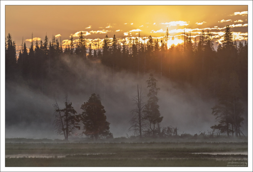 Рассвет в парке Yellowstone.