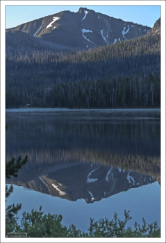 Лес по берегам озера Sylvan Lake.