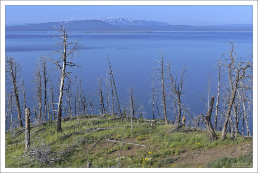 Обзорная точка Lake Butte overlook над озером Йеллоустоун.