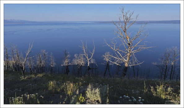 Озеро Yellowstone расположено на высоте 2356 метров над уровнем моря.