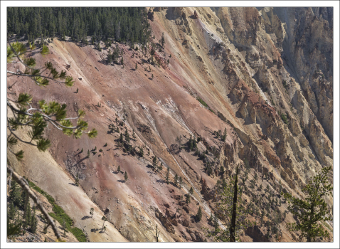 Розовые склоны Большого каньона Йеллоустоуна.