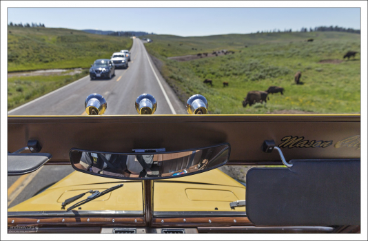 Удобная точка обзора на винтажном автомобиле (сняли крышу).