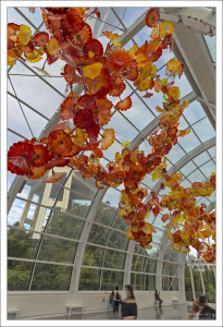 Flower of the Glass house – Цветок Стеклянного дома.