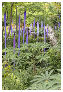 Neodymium Reeds - Неодимовые заросли. Неодим — химический элемент, редкоземельный металл, с атомным номером 60.