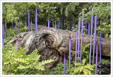 Заросли неодимового тростника, вписанные в естественный ландшафт.