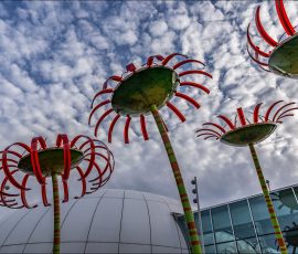 Цветочная группа Sonic Bloom около музея стекла Чихули создана архитектором Дэном Корсоном.