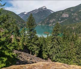 Озеро Diablo lake за деревьями.