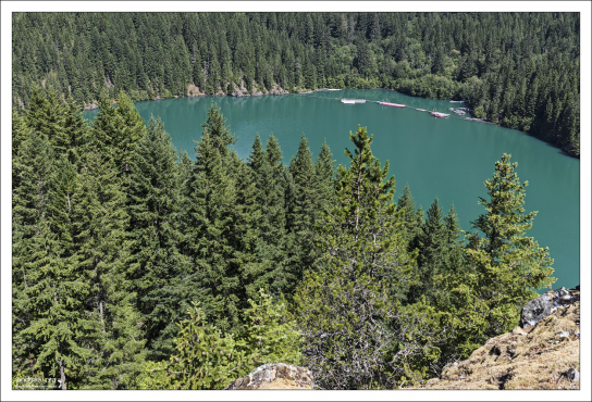 Изгиб водохранилища Ross.