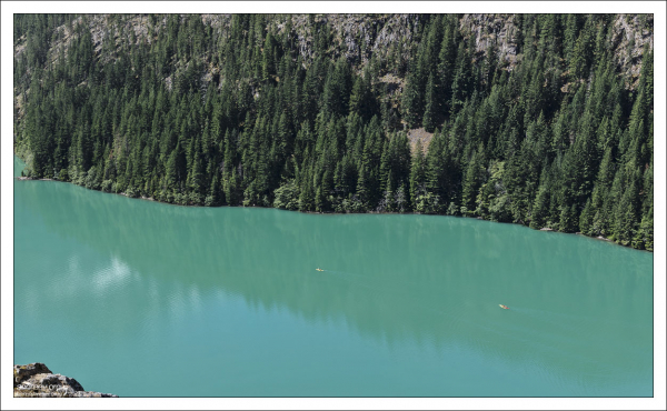 Хвойные леса, сохранившиеся по берегам озера Диабло —
остатки лесного покрова, когда-то занимавшего всё тихоокеанское побережье
Канады и северо-западных штатов США.
Основные деревья в этих лесах — пихта Дугласа и складчатая туя.