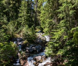 Небольшой водопад около начала тропы Heather-Maple Pass loop trail.