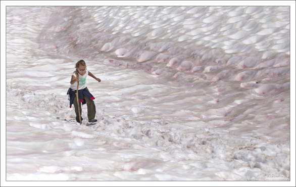Участок с розовым (арбузным) снегом.