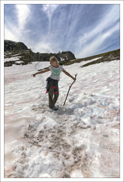 За цвет "арбузного" снега отвечают водоросли хламидомонады (Chlamydomonas nivalis).