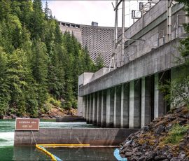 Дамба Ross -
одна из трех, входящих в проект Skagit River Hydroelectric Project.
Все три гидроэлектростанции обеспечивают
примерно 90% электроэнергии,
потребляемой в Сиэтле.