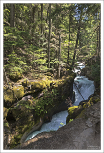 Avalanche Gorge - Лавинное ущелье в национальном парке Glacier National Park в штате Монтана.