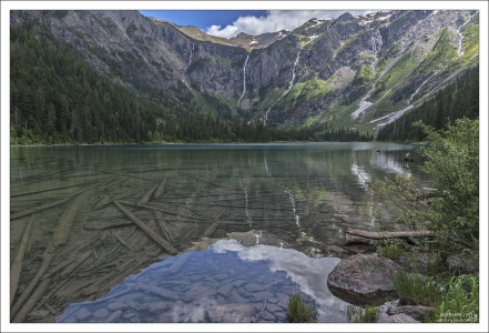 Старые поваленные бревна на дне, оставшиеся после схода лавин в Avalanche Lake.