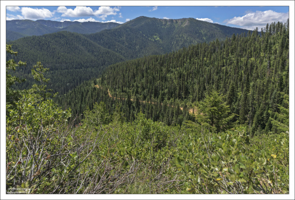 Велосипедная тропа The Route of the Hiawatha,
протяженностью 24 км.