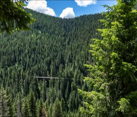 Айдахский выступ (англ. Idaho Panhandle) -
регион, расположенный в северной части американского штата Айдахо.
Выступ (Панхэндл, англ. Panhandle) — принятое в американской терминологии название
длинного узкого выступа территории между двумя другими территориями,
буквально переводится как «Ухват», «Ручка сковороды».