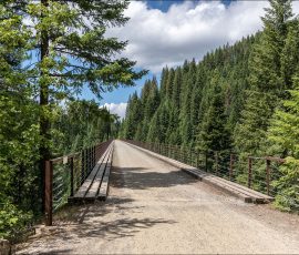 Одна из эстакад (trestle), оставшихся от железной дороги Milwaukee Road.
Использовалась по назначению в 1847–1986 годах.