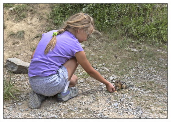 Саша нашла голодного бурундука.