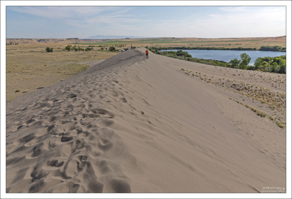 С преобладающими ветрами, дующими с юго-востока в 28% случаев и с северо-запада в 32% случаев,
дюны остаются довольно устойчивыми и, в отличие от большинства других, не перемещаются.