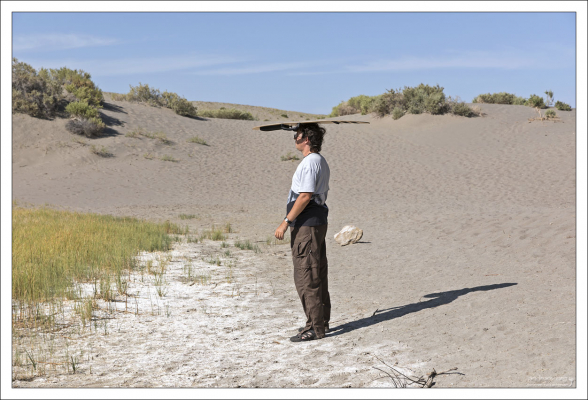 Это не человек едет на скейтборде, а скейтборд едет на человеке :)